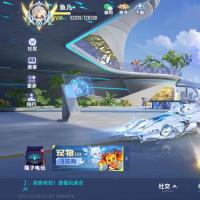 V10 2永久T车 48永久A车 84永久赛车 36宠物 男号 钻石