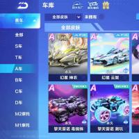 V7 19永久A车 29永久赛车 14宠物 男号 铂金