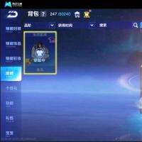 V9 1永久T车 24永久A车 44永久赛车 22宠物 男号 铂金